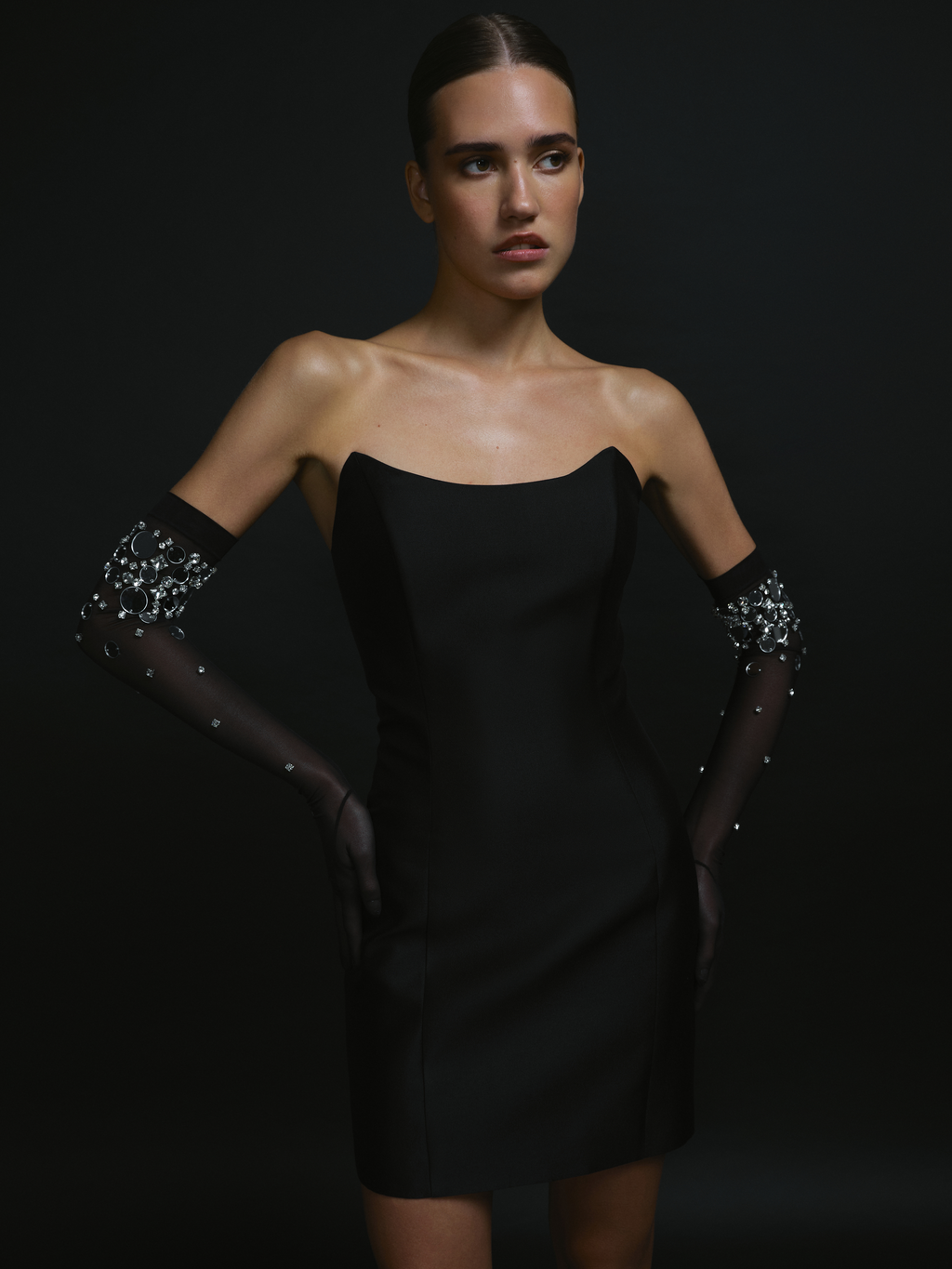 Opera-Length Embellished Gloves