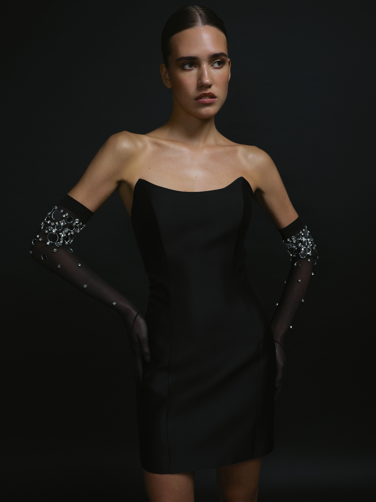 Opera-Length Embellished Gloves