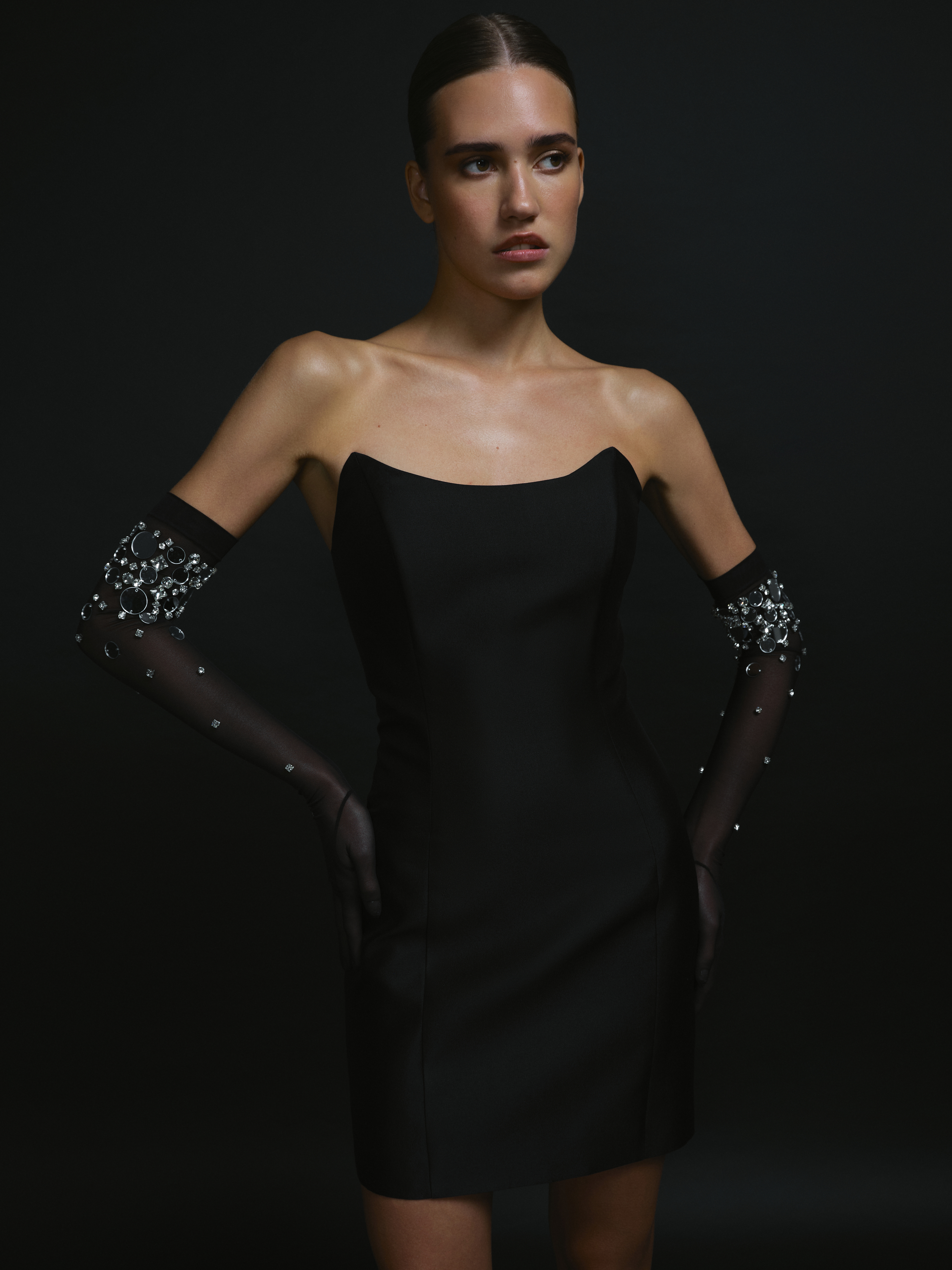 Opera-Length Embellished Gloves