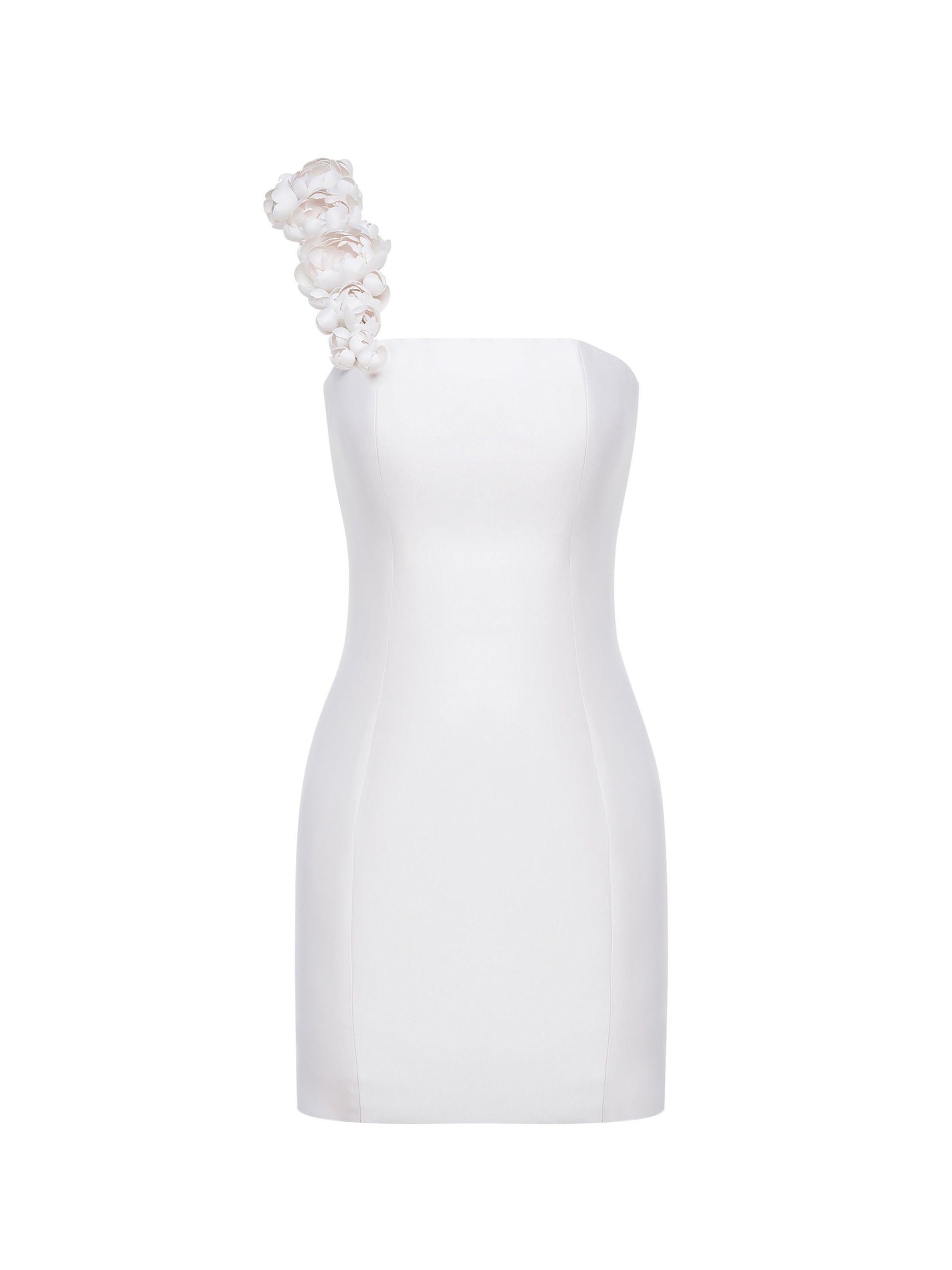 Floral Silk and Wool Mini Dress