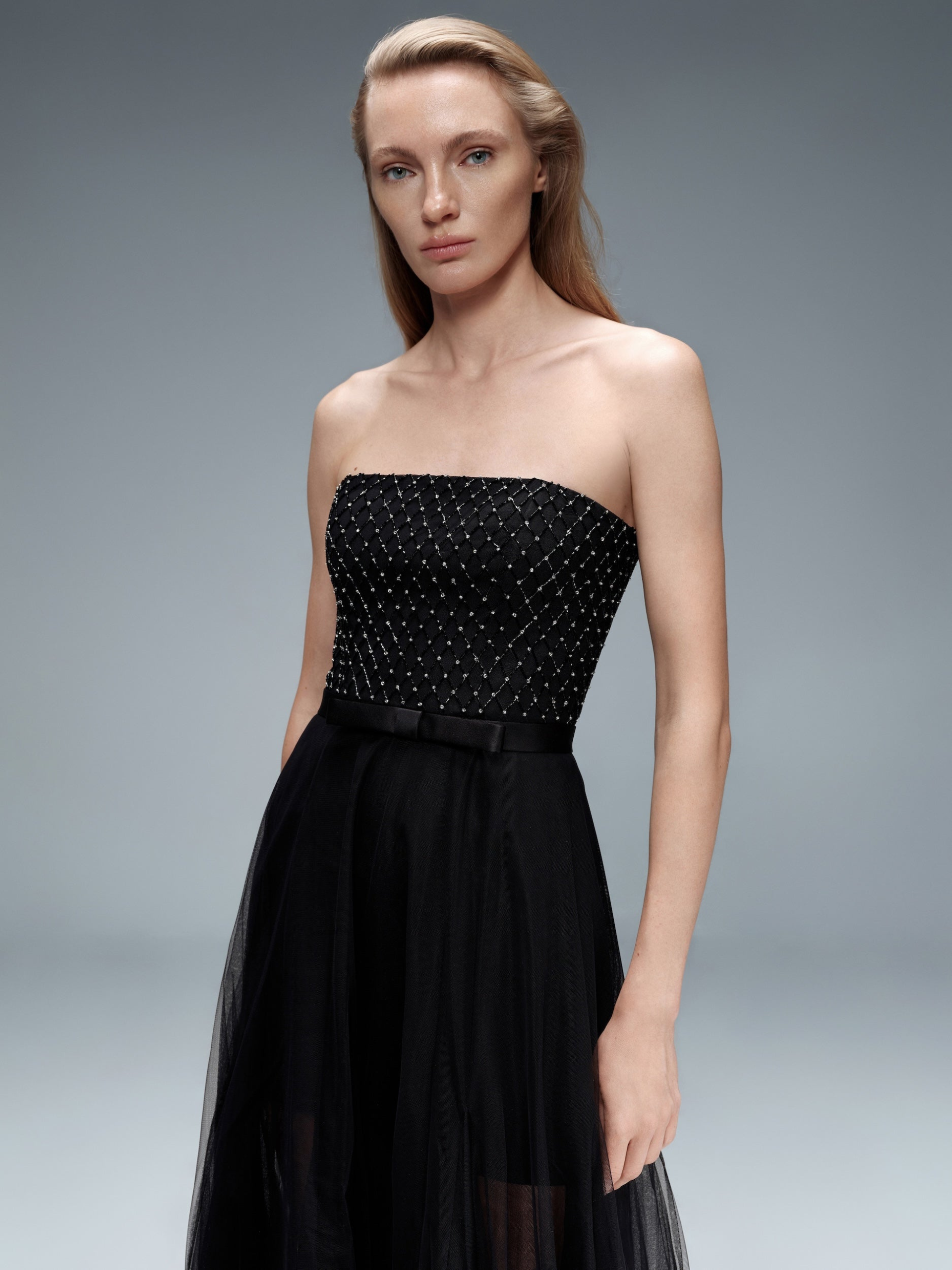 Embroidered Tulle Dress