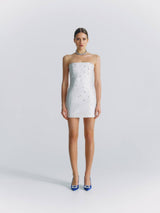 Crystal Strapless Mini Dress