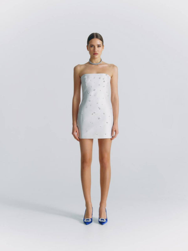 Crystal Strapless Mini Dress